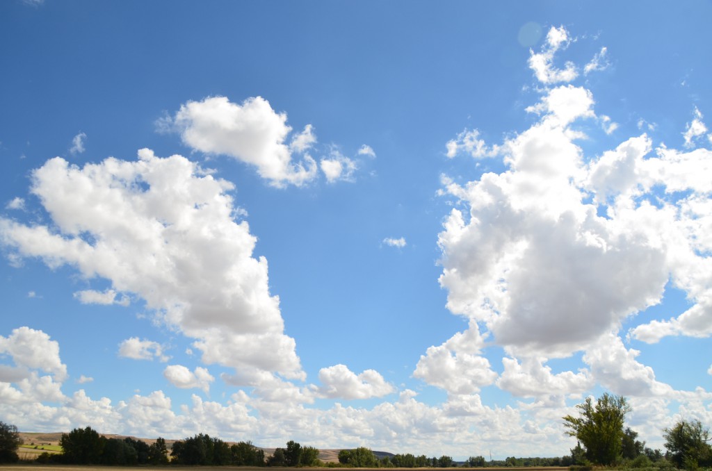 空写真