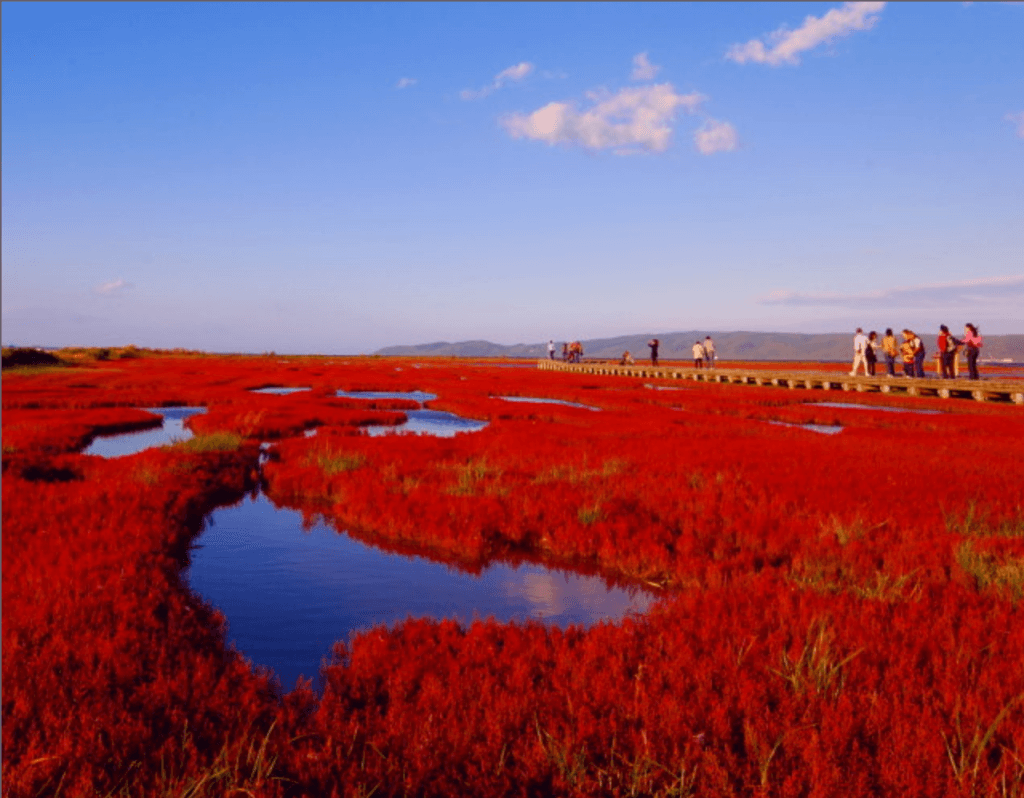 ９月に行こうと思う北海道絶景撮影スポットと登山したい山 一眼レフカメラ 写真初心者のカメラブログ