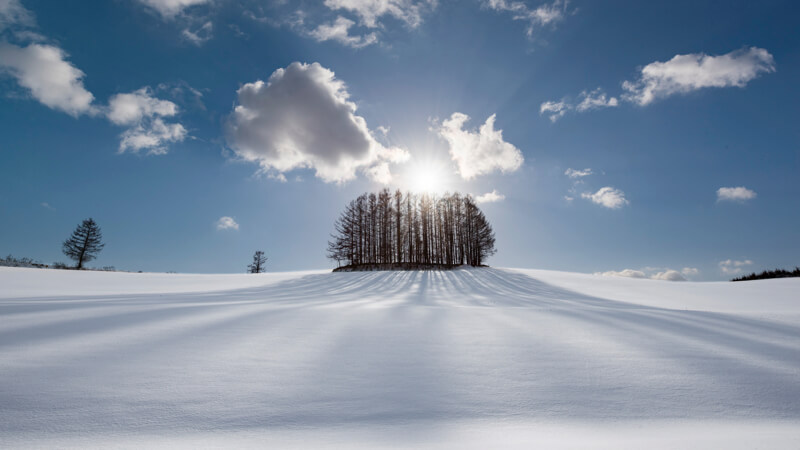 冬の美瑛、「マイルドセブンの丘」を撮影！どこまでも透き通る雪景色・・・。 – 一眼レフカメラ・写真初心者のカメラブログ