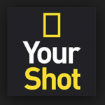 ナショナルジオグラフィック「Your Shot」で「DAILY DOZEN」に初めて選ばれた！