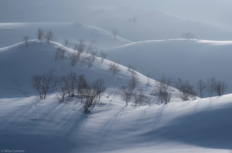 Nik Collection とphotoshopで現像してみる 優しい光が当たる風景を現像 一眼レフカメラ 写真初心者のカメラブログ