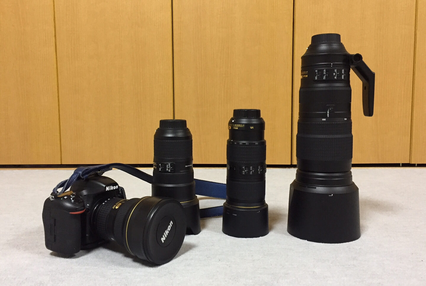Nikon AF-S NIKKOR 200-500mm f/5.6E ED VRを購入！待望の超望遠レンズの所感について！ – 一眼レフカメラ・写真初心者のカメラブログ