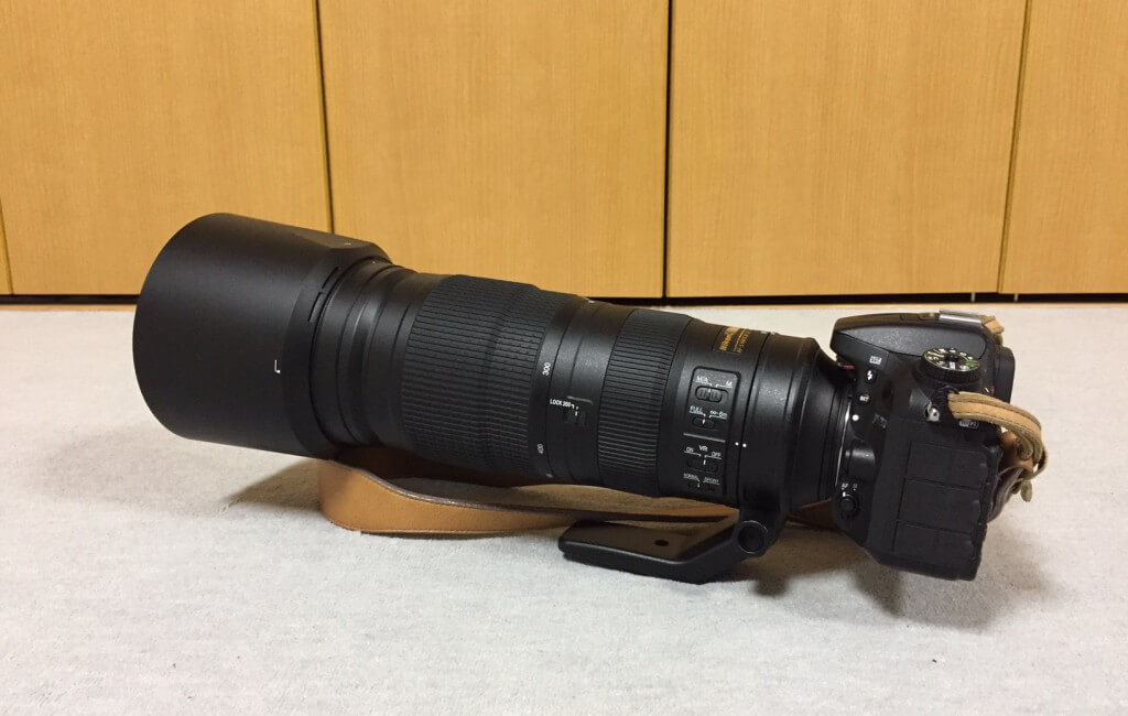 Nikon AF-S NIKKOR 200-500mm f/5.6E ED VRを購入！待望の超望遠レンズ 