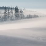 美瑛で美しい霧氷を撮影してきた。